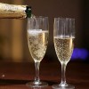 Champagne y Espumantes (0)