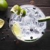 GINEBRA (4)